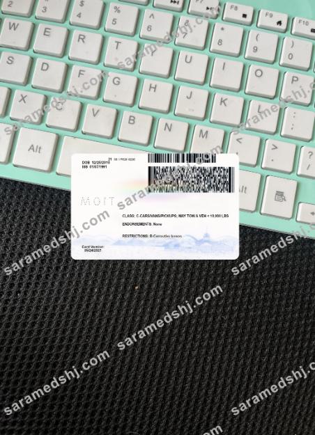 USA Nevada driving license 2021-present photolook back